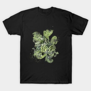 Prayer Plant- Abstract Art T-Shirt